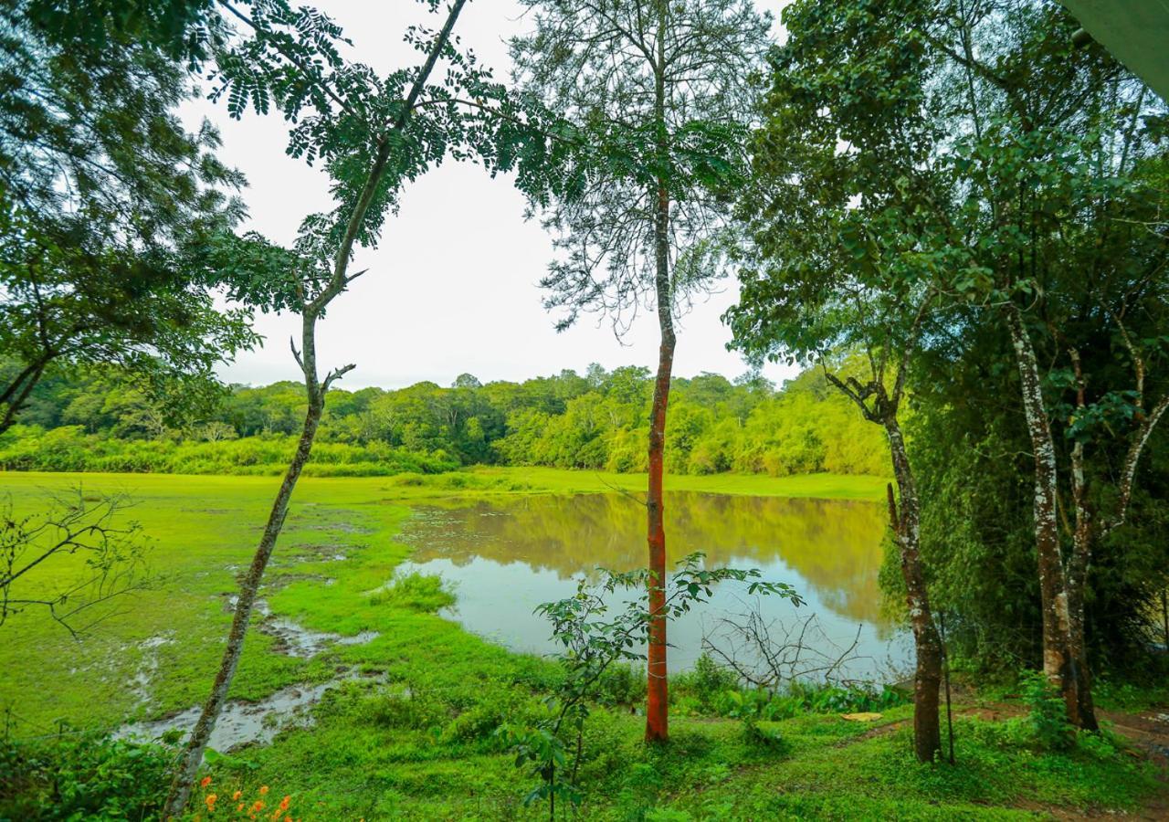 Tusker Inn Wayanad Forest Villa By Voye Homes Exterior photo